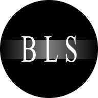 Best Little Studio Photography logo